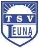 TSV Leuna 1919