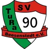 SV Tura 90 Beesenstedt