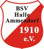 BSV Halle-Ammendorf