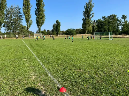 24.08.2024 SV Beuna vs. TSV Leuna 1919